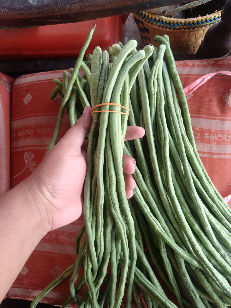 long bean