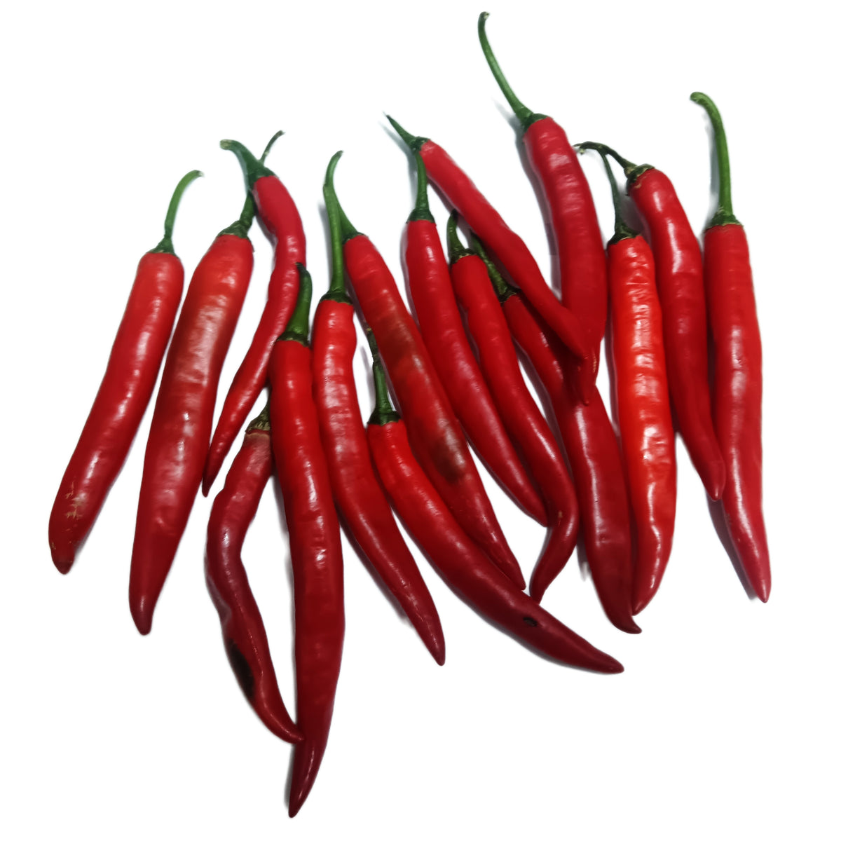 200 gram + Free 50 gram Red Vegetable Chili