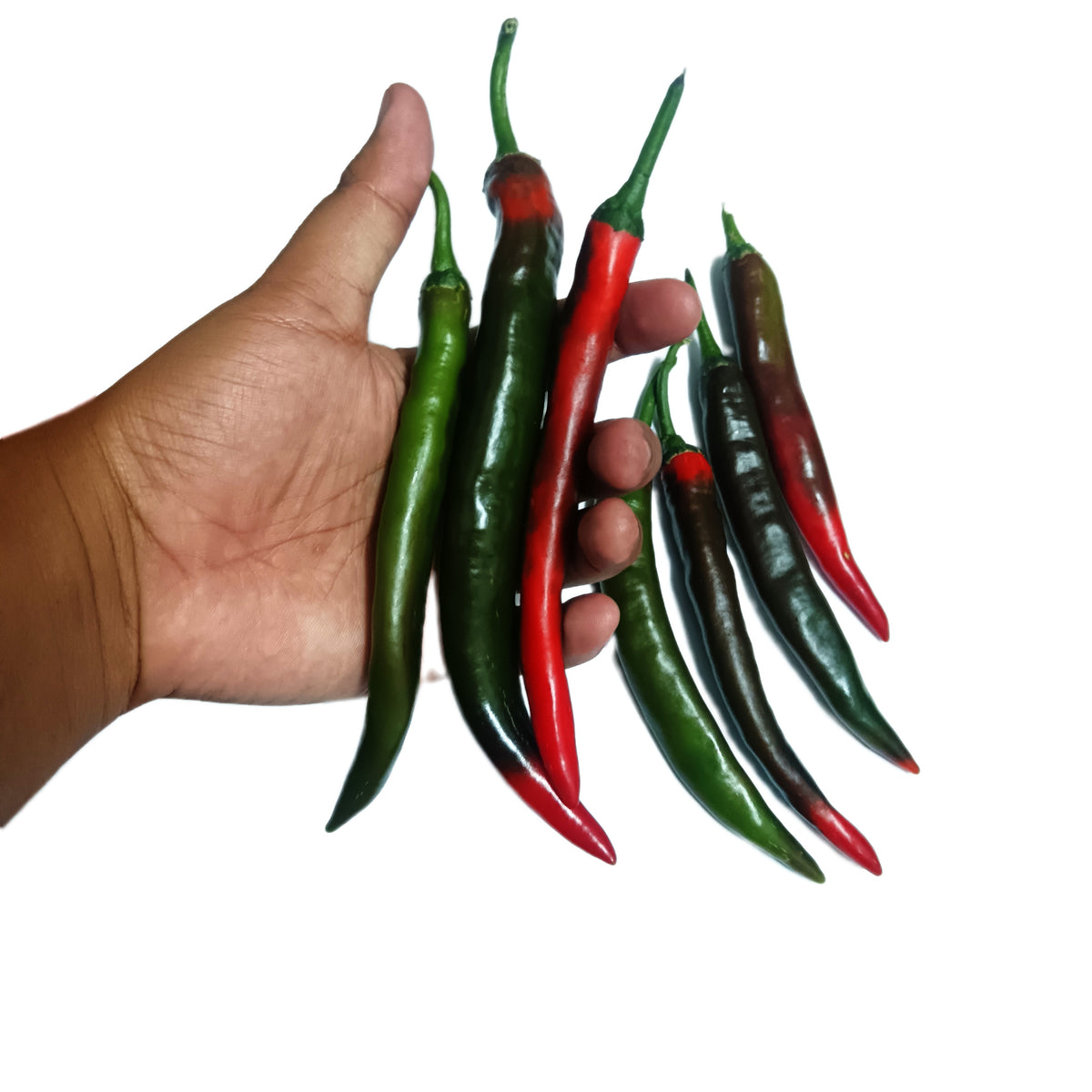 100 gram Ripe mix Vegetable Chili
