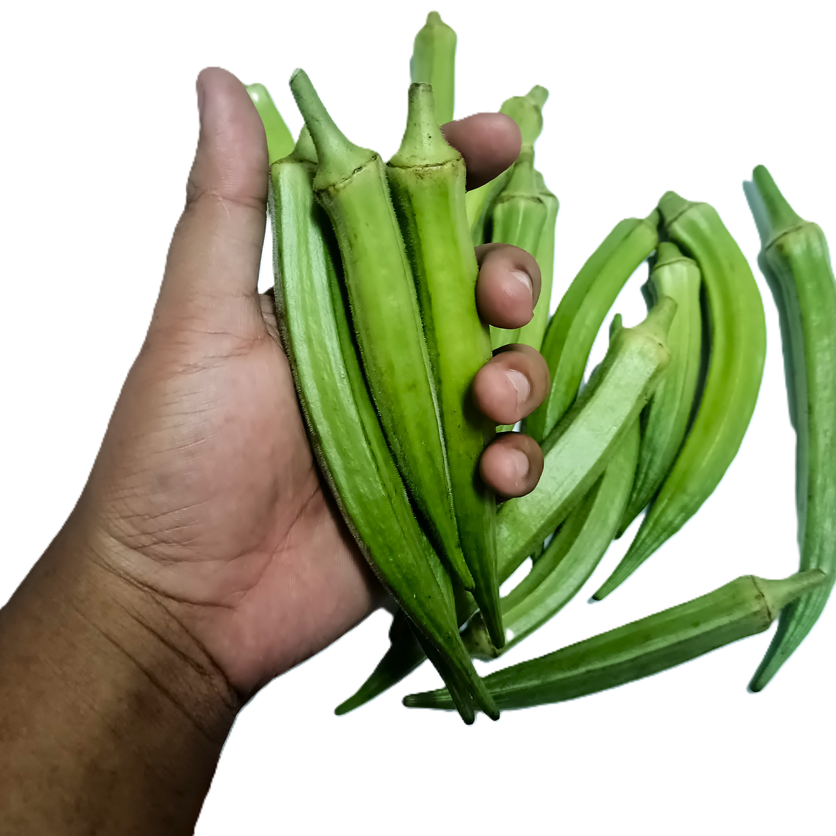 300 gram Lady Finger