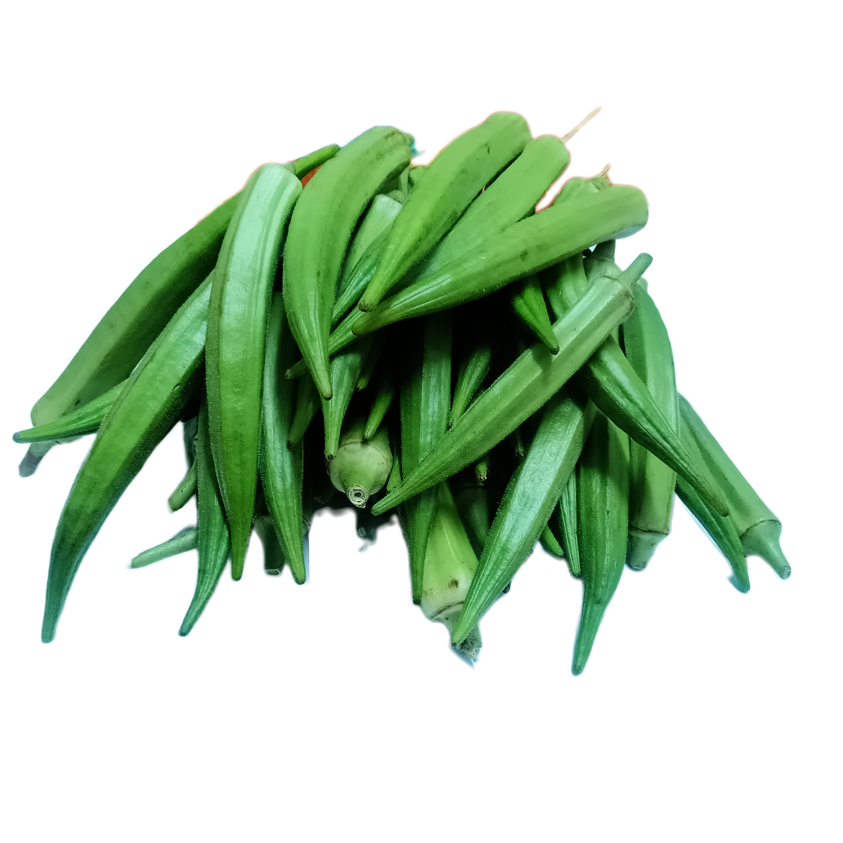 500 gram + Free 100 gram Lady Finger
