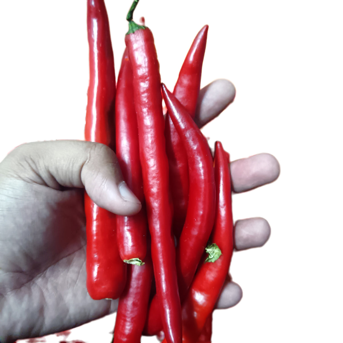 200 gram + Free 50 gram Red Vegetable Chili